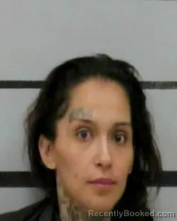 Mugshot of AMBER ZUNIGA