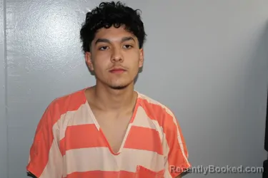 Mugshot of ABEL SILVA booked in Madison County, Texas on April 5, 2026