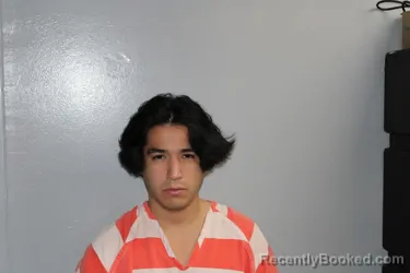 Mugshot of GABRIEL ALFONSO JAIRALA booked in Madison County, Texas on April 15, 2026