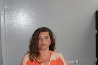 Mugshot of KIMBERLY NICOLE FALK booked in Madison County, Texas on April 18, 2026