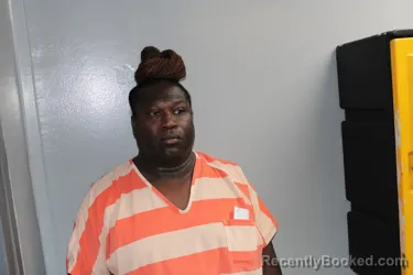 Mugshot of MICHAEL JAMES DELCE booked in Madison County, Texas on May 10, 2026