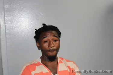 Mugshot of JOHN HENRY VAN booked in Madison County, Texas on June 14, 2026