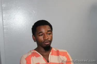 Mugshot of JAVON HENRY VAN booked in Madison County, Texas on June 14, 2026