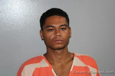 Mugshot of DOMINIQUE DEAN OKABAYASHI booked in Madison County, Texas on July 15, 2026