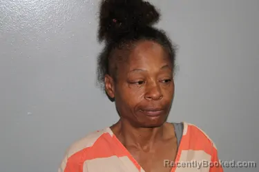 Mugshot of TONI NICOLE JOHNSON booked in Madison County, Texas on July 16, 2026