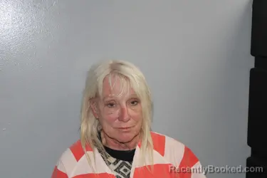Mugshot of JUDITH SMITH COOK booked in Madison County, Texas on August 2, 2026