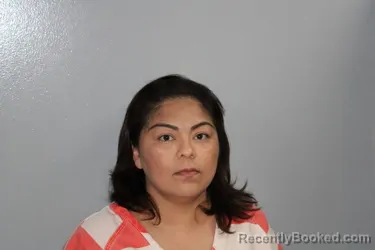 Mugshot of Sandra Vergara Gallegos booked in Madison County, Texas on August 5, 2026