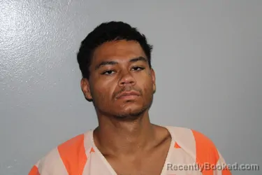 Mugshot of Dominique Dean Okabayashi booked in Madison County, Texas on August 5, 2026
