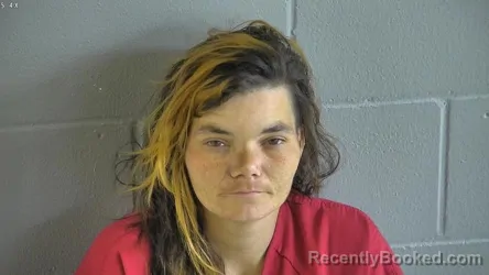 Mugshot of ALEXANDRIA NICOLE DRIGGERS
