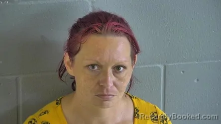 Mugshot of ASHLEY JAMES booked in Levy County, Florida on May 14, 2026