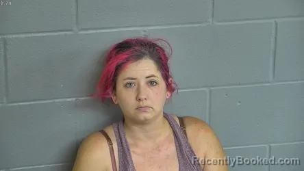 Mugshot of AMANDA PARRISH