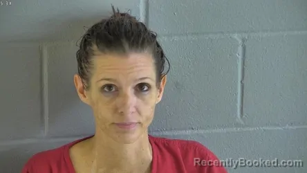 Mugshot of AEREAL ROSE PARISE