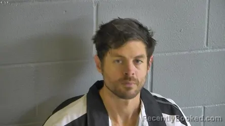 Mugshot of AARON STEED