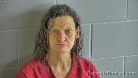 Mugshot of ASHLEY PAGE WEST booked in Levy County, Florida on June 19, 2026