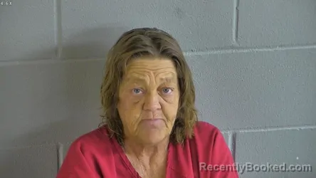 Mugshot of Alicia Marie Warriner booked in Levy County, Florida on August 14, 2026