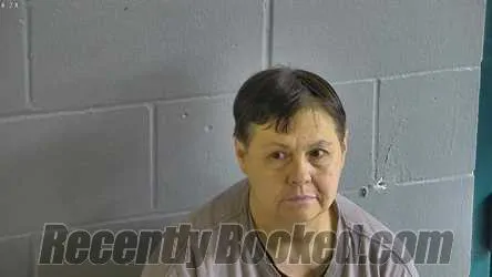 Booking photo from Levy County, Florida