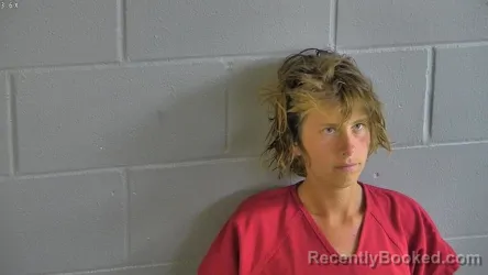 Mugshot of BRIANNA NICOLE KNISELY booked in Levy County, Florida on April 3, 2026