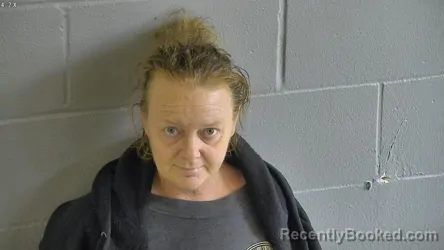 Mugshot of CARRIE ANN HENDRICKS