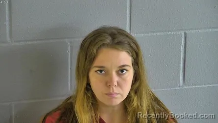 Mugshot of Cheyanne Kay James booked in Levy County, Florida on October 20, 2026