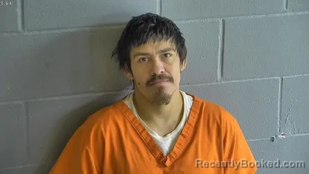 Mugshot of CHRISTIAN WEEKS booked in Levy County, Florida on April 7, 2026