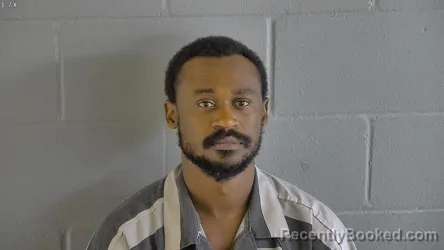 Mugshot of DARYL TERRELL DALLAS