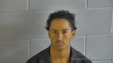 Mugshot of DIDIER ADUX ROMERO ROMERO