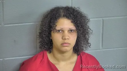 Mugshot of DANAE SMITH