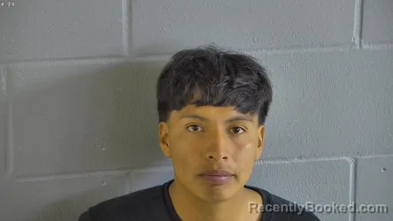 Mugshot of DARVIN FIDELINO TELLO-GARCIA booked in Levy County, Florida on June 7, 2026