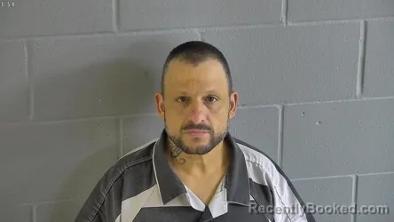 Mugshot of DANIEL VEGA