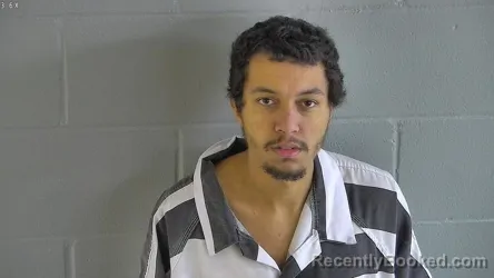 Mugshot of DAMION VINCESHAUN WARD booked in Levy County, Florida on April 23, 2026