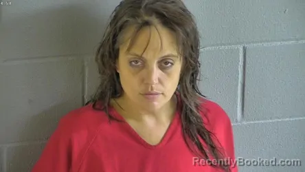Mugshot of Eryn Kelley booked in Levy County, Florida on August 9, 2026