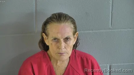 Mugshot of Elizabeth Loraine Patterson booked in Levy County, Florida on August 20, 2026