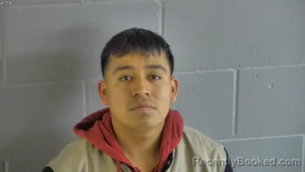 Mugshot of EDAIN RAMON BARRAGAN