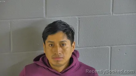 Mugshot of ELDI ELVIS VELASQUEZORTIZ