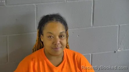 Mugshot of ERICA RENE WRIGHT booked in Levy County, Florida on April 29, 2026