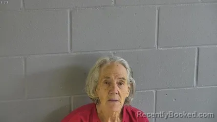 Mugshot of FAITH NIPPER