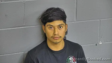 Mugshot of FRANCISCO VALAZQUEZ