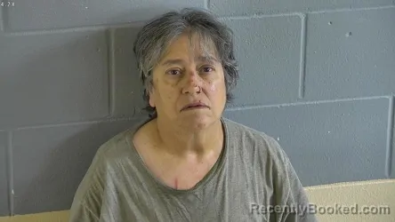 Mugshot of GLORIA ADRIANA CAMEL booked in Levy County, Florida on May 16, 2026