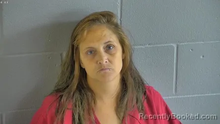 Mugshot of HEATHER DANIELLE ABRAMS booked in Levy County, Florida on June 28, 2026