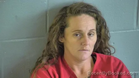 Mugshot of HEATHER HINDSLEY booked in Levy County, Florida on May 15, 2026