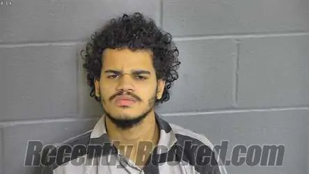 Booking photo from Levy County, Florida