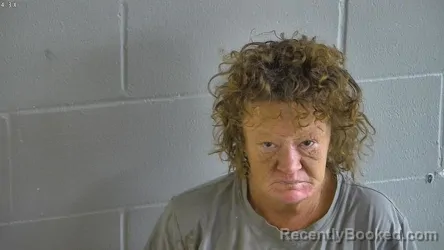 Mugshot of JENNIFER LYNN BRAMBLETT booked in Levy County, Florida on July 10, 2026