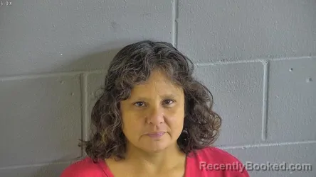 Mugshot of Jessica Ann Carver booked in Levy County, Florida on July 28, 2026