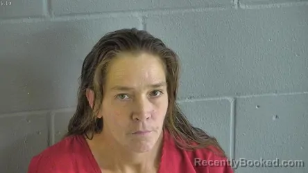 Mugshot of JENNIFER JENKINS booked in Levy County, Florida on June 22, 2026