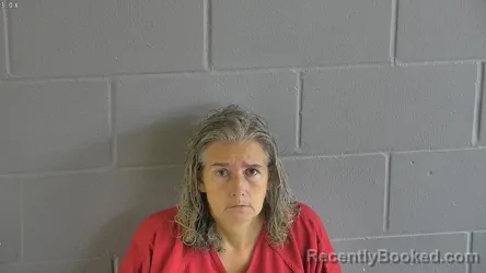 Mugshot of Jolen Blanche Lesswing booked in Levy County, Florida on September 15, 2026