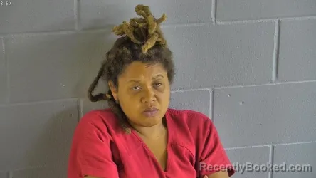 Mugshot of JAZMEN JAMIA MONROE booked in Levy County, Florida on April 28, 2026
