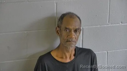 Mugshot of Jackie Lorone Mitchem booked in Levy County, Florida on August 5, 2026