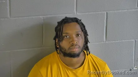Mugshot of JAVARIS ALANTE PATTERSON