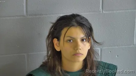 Mugshot of KAYLEI CHRISTIANSEN booked in Levy County, Florida on June 15, 2026