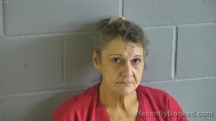 Mugshot of Kathy Lynn Colwell booked in Levy County, Florida on September 6, 2026